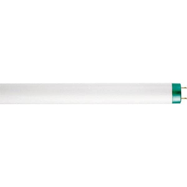 Tubular Fluorescent Lamp: 32 W, T8, Medium Bi-Pin