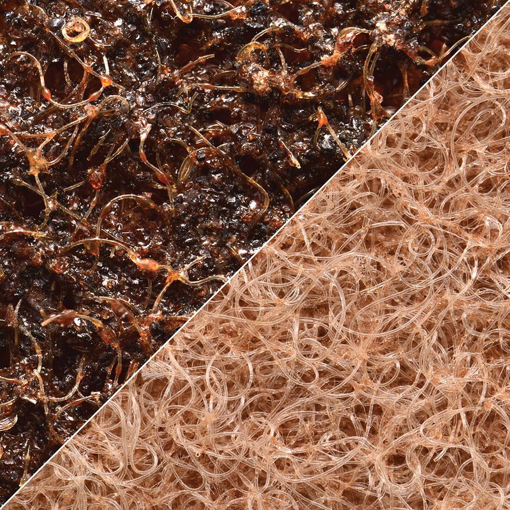Abrasive Belt: 2" Wide, 37" OAL, Aluminum Oxide