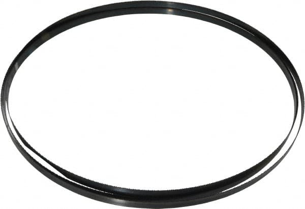 Starrett - 14/S TPI, 12' Long x 1/2" Wide x 0.025" Thick, Welded Band Saw Blade - Carbon Steel, Toothed Edge, Raker Tooth Set, Flexible Back, Contour Cutting - Benchmark Tooling