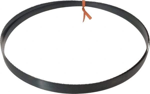 Disston - 14 TPI, 8' Long x 1/2" Wide x 0.025" Thick, Welded Band Saw Blade - Carbon Steel, Toothed Edge, Raker Tooth Set, Flexible Back, Contour Cutting - Benchmark Tooling