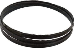 Disston - 10 TPI, 5' 4-1/2" Long x 1/2" Wide x 0.025" Thick, Welded Band Saw Blade - Carbon Steel, Toothed Edge, Raker Tooth Set, Hard Back, Contour Cutting - Benchmark Tooling