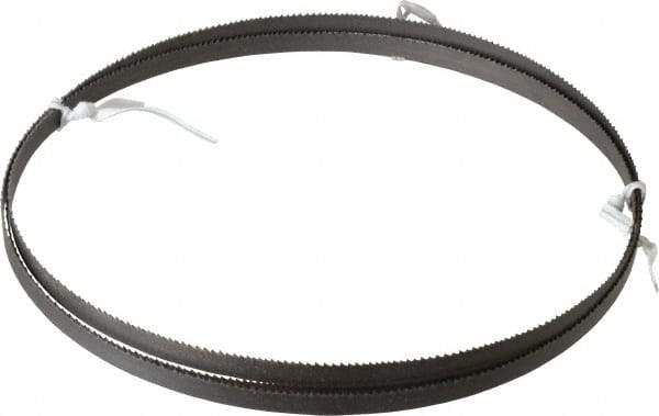 Irwin Blades - 10 to 14 TPI, 6' 10" Long x 3/8" Wide x 0.025" Thick, Welded Band Saw Blade - Bi-Metal, Toothed Edge - Benchmark Tooling