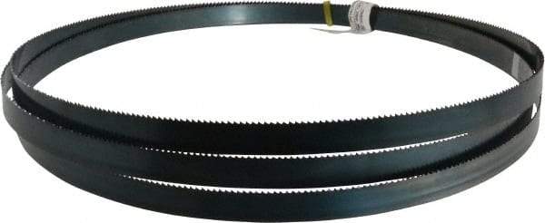 Starrett - 8 TPI, 10' 10-1/2" Long x 3/4" Wide x 0.032" Thick, Welded Band Saw Blade - Carbon Steel, Toothed Edge, Raker Tooth Set, Flexible Back, Contour Cutting - Benchmark Tooling