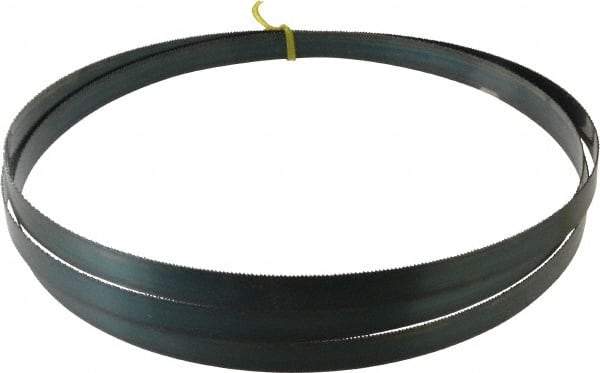 Starrett - 14 TPI, 9' 6" Long x 3/4" Wide x 0.032" Thick, Welded Band Saw Blade - Carbon Steel, Toothed Edge, Raker Tooth Set, Flexible Back, Contour Cutting - Benchmark Tooling