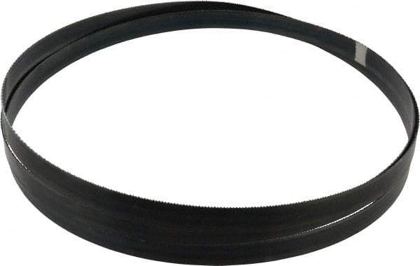 Starrett - 14 TPI, 9' 7-1/2" Long x 3/4" Wide x 0.032" Thick, Welded Band Saw Blade - Carbon Steel, Toothed Edge, Raker Tooth Set, Flexible Back, Contour Cutting - Benchmark Tooling