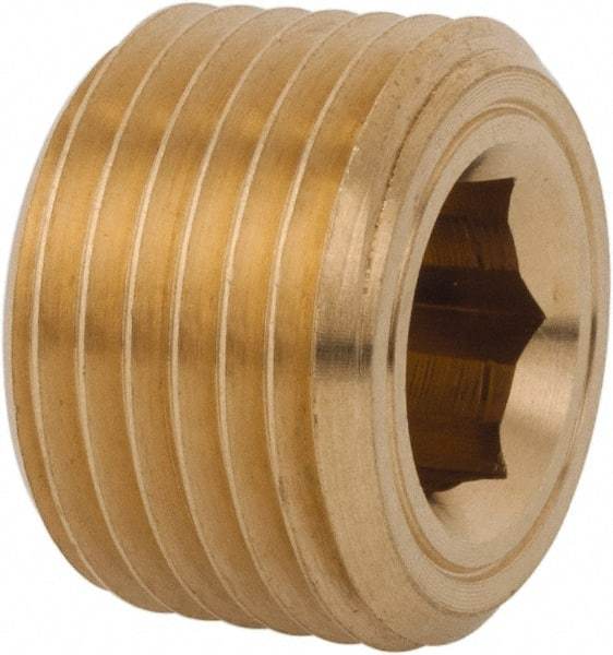 Legris - 1/2 Male Thread, Brass Industrial Pipe Hollow Hex Plug - MBSPT, 3,626 psi - Benchmark Tooling