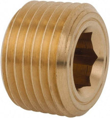 Legris - 1/2 Male Thread, Brass Industrial Pipe Hollow Hex Plug - MBSPT, 3,626 psi - Benchmark Tooling