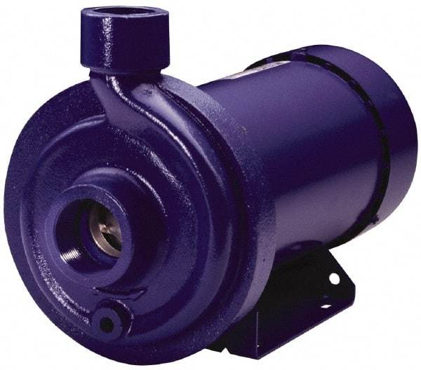 Goulds Pumps - TEFC Motor, 208-230/460 Volt, 4.0/2.0 Amp, 3 Phase, 1 HP, 3500 RPM, Cast Iron Straight Pump - 1-1/4 Inch Inlet, 1 Inch Outlet, 44 Max Head psi, 316L Stainless Steel Impeller, Carbon Ceramic Buna Seal, 102 Ft. Shut Off - Benchmark Tooling