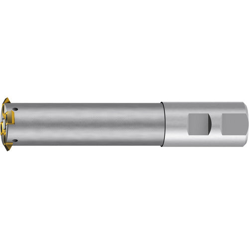 D30X95-SD32 11 INSERT BODY-Z3