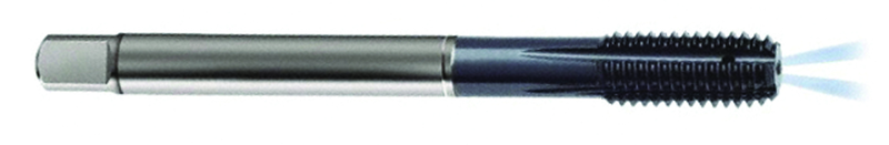M16 x 2.00 Dia. - 6HX - 5 FL - PM Cobalt Semi-Bott Tap-ALCRN-Coolant-Thru-FORM-C - Benchmark Tooling