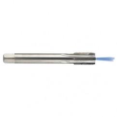 M20 x 2.5 Dia. - 6H - 4 FL - Carbide Semi-Bott Tap - Bright Finish-Coolant-Thru-FORM-C - Benchmark Tooling