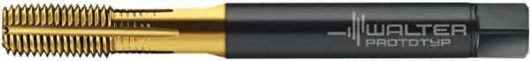 Walter-Prototyp - 1/4-28 UNF 2B Modified Bottoming Thread Forming Tap - Cobalt, TiN Finish, 80.01mm OAL, 15.01mm Thread Length, Right Hand Thread, Series ACP2361745 - Benchmark Tooling