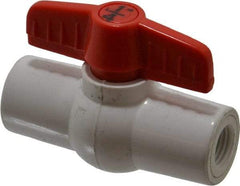 Legend Valve - 1/4" Pipe, Full Port, PVC Miniature Ball Valve - Inline - One Way Flow, FNPT x FNPT Ends, Tee Handle, 150 WOG - Benchmark Tooling
