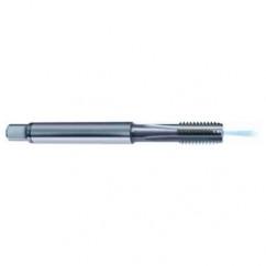 3/4-10 Dia. - 2B - 4 FL - Carbide Bottoming Tap FORM-C-Coolant Thru - Benchmark Tooling