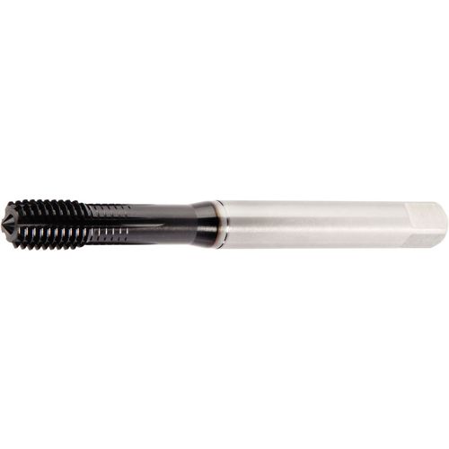 GT225019 M6X1 6HX FT SBOT 2174