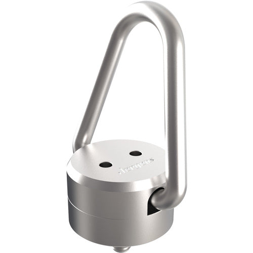 Swivel Eyebolt, 750 kg Load Capacity, M16 × 2.0 Thread Size
