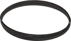 Lenox - 10 to 14 TPI, 13' 3" Long x 1/2" Wide x 0.025" Thick, Welded Band Saw Blade - Bi-Metal, Toothed Edge, Modified Raker Tooth Set, Flexible Back, Contour Cutting - Benchmark Tooling