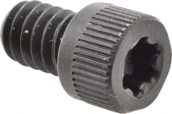 Camcar - 1/4-20 UNC Torx Plus Drive, Socket Cap Screw - Alloy Steel, Black Oxide Finish, Fully Threaded, 3/8" Length Under Head - Benchmark Tooling