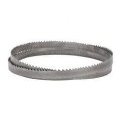 Lenox - 2 to 3 TPI, 12' 6" Long x 1-1/4" Wide x 0.042" Thick, Welded Band Saw Blade - Bi-Metal, Toothed Edge, Raker Tooth Set, Flexible Back, Contour Cutting - Benchmark Tooling