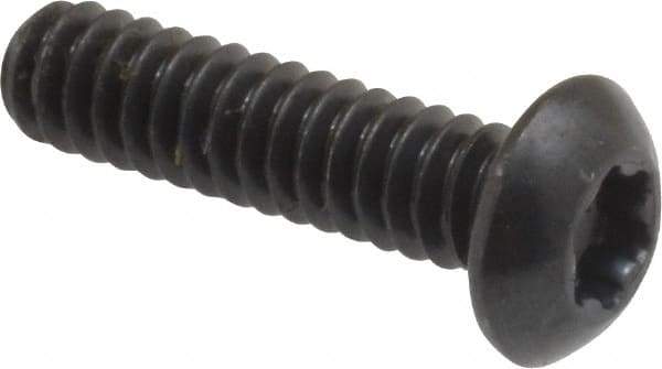 Camcar - #10-24 UNC Torx Plus Drive, Button Screw - Alloy Steel, Black Oxide Finish, Fully Threaded, 3/4" Length Under Head - Benchmark Tooling