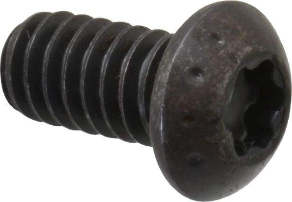 Camcar - 1/4-20 UNC Torx Plus Drive, Button Screw - Alloy Steel, Black Oxide Finish, Fully Threaded, 1/2" Length Under Head - Benchmark Tooling
