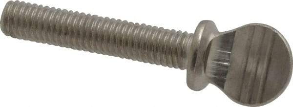 Value Collection - #10-32 Oval Shoulder Grade 18-8 Stainless Steel Thumb Screw - 1" OAL, 0.48" Head Height - Benchmark Tooling