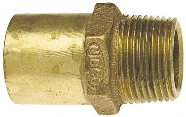 NIBCO - 1-1/4" Cast Copper Pipe Adapter - FTG x M, Pressure Fitting - Benchmark Tooling