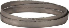 Lenox - 4 to 6 TPI, 11' 6" Long x 1-1/4" Wide x 0.042" Thick, Welded Band Saw Blade - Bi-Metal, Toothed Edge, Raker Tooth Set, Flexible Back - Benchmark Tooling