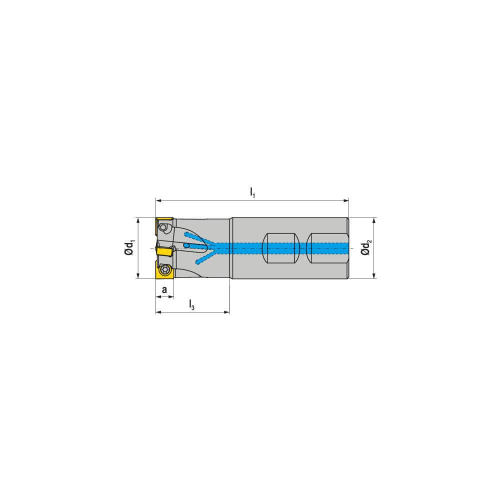 Indexable Square-Shoulder End Mill: C490.32.R.04-09-B25-40, 25.0000'' Shank Dia, Weldon Flat Shank Uses 4, Normal Pressure, 100.00 mm OAL