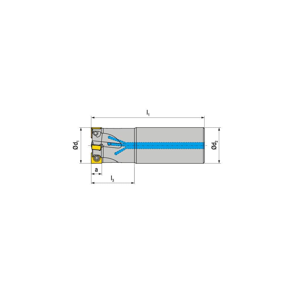 Indexable Square-Shoulder End Mill: C490.25.R.0209A40165, 25.0000'' Shank Dia, Cylindrical Shank Uses 2, Normal Pressure, 165.00 mm OAL