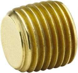 Parker - 3/4 Male Thread, Brass Industrial Pipe Hollow Hex Plug - MNPTF, 1,000 psi - Benchmark Tooling