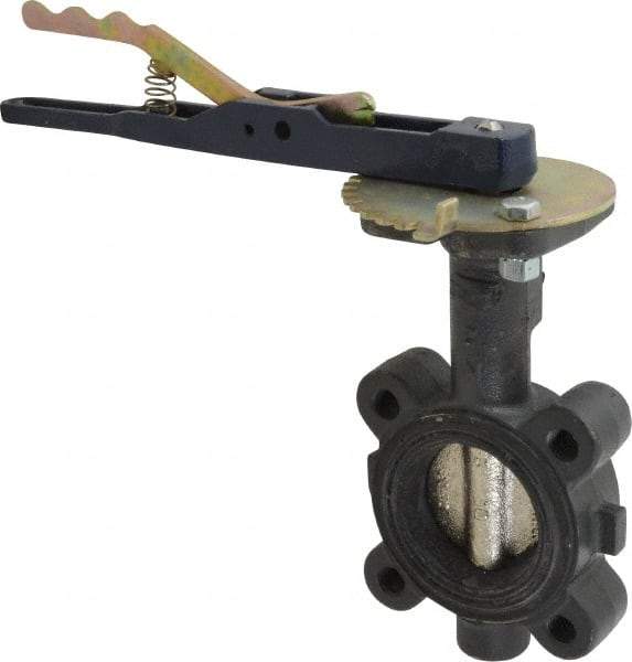 NIBCO - 2" Pipe, Lug Butterfly Valve - Lever Handle, Ductile Iron Body, EPDM Seat, 250 WOG, Ductile Iron Disc, Stainless Steel Stem - Benchmark Tooling