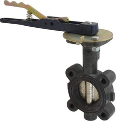 NIBCO - 2" Pipe, Lug Butterfly Valve - Lever Handle, Ductile Iron Body, EPDM Seat, 250 WOG, Ductile Iron Disc, Stainless Steel Stem - Benchmark Tooling
