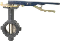 NIBCO - 2" Pipe, Wafer Butterfly Valve - Lever Handle, Ductile Iron Body, Buna-N Seat, 250 WOG, Ductile Iron Disc, Stainless Steel Stem - Benchmark Tooling