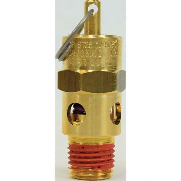 Control Devices - 1/4" Inlet, ASME Safety Valve - Benchmark Tooling
