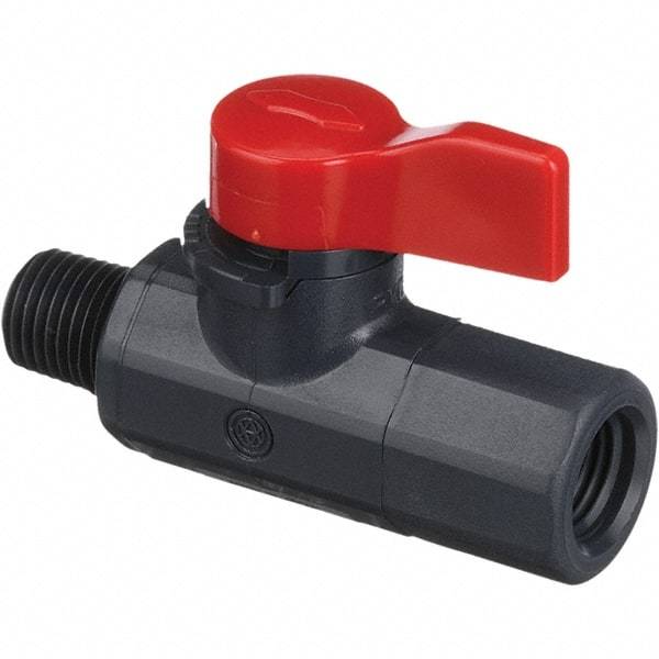 Asahi/America - 1/4" Pipe, Full Port, PVC Ball Valve - 1 Piece, MNPT x FNPT Ends, Tee Handle, 150 WOG - Benchmark Tooling