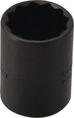 Proto - 7/8", 1/2" Drive, Standard Hand Socket - 12 Points, 1-9/16" OAL, Alloy Steel, Black Finish - Benchmark Tooling