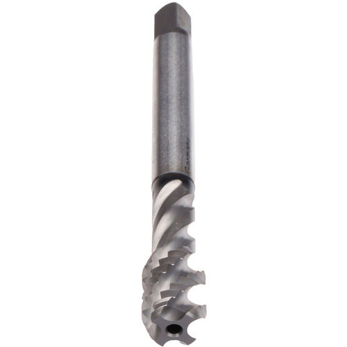 3/4-16-ENORMZ-BOT GLT1-3B