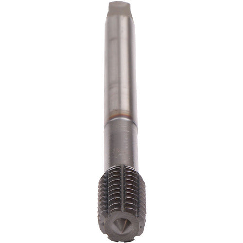 #12-24-FORM STL-H-PM-TICN
