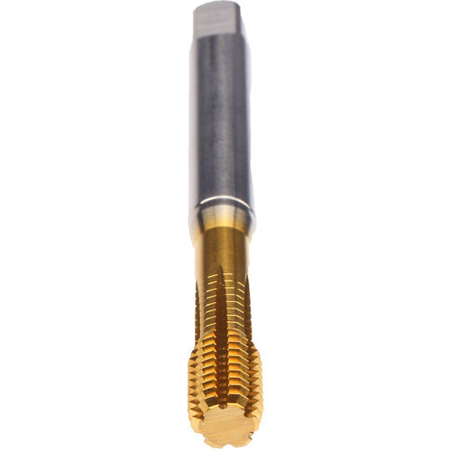 #2-64-FORM VA-BOTT-PM-TIN