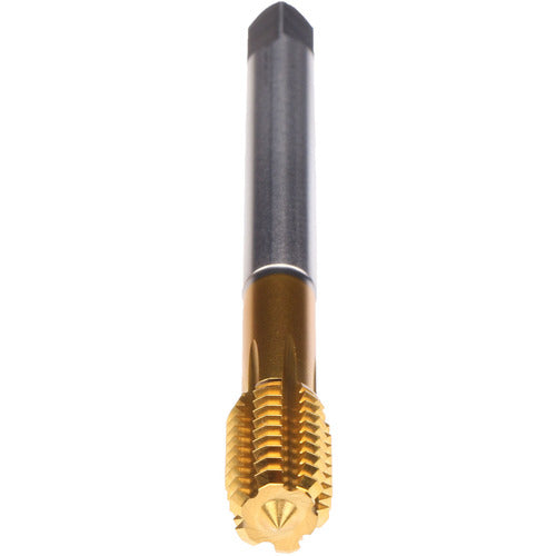 3/4-10-FORM Z-PM-CLNT-TIN