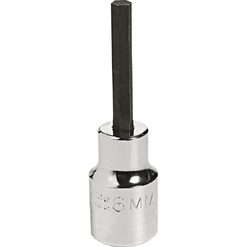 Proto 1/2″ Drive Hex Bit Socket - 19 mm - Benchmark Tooling