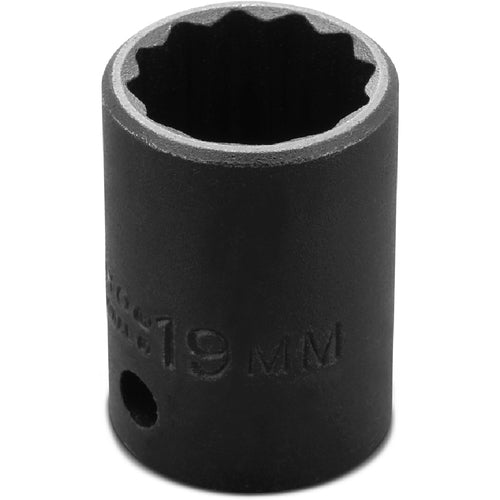 Proto 1/2″ Drive Thin Wall Impact Socket 19 mm - 12 Point - Benchmark Tooling