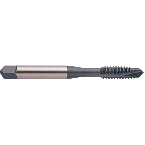 M12X1.25 D5 3FL SP PT GP BRIGHT TAP
