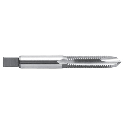 8-1.25; Plug; D5; HSS METRIC Tap 2F - Exact Industrial Supply