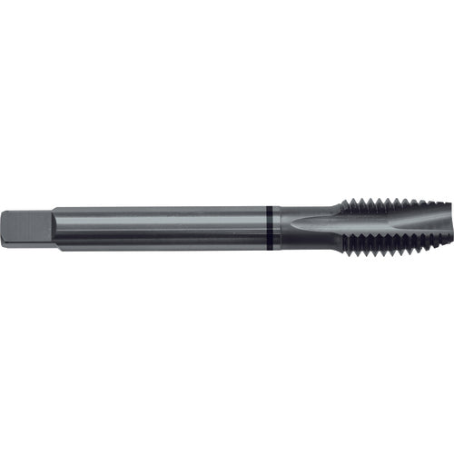 7/16-20 H5 3 Flute Spiral Pointed Plug Black Ring Tap-Steam Oxide - Benchmark Tooling