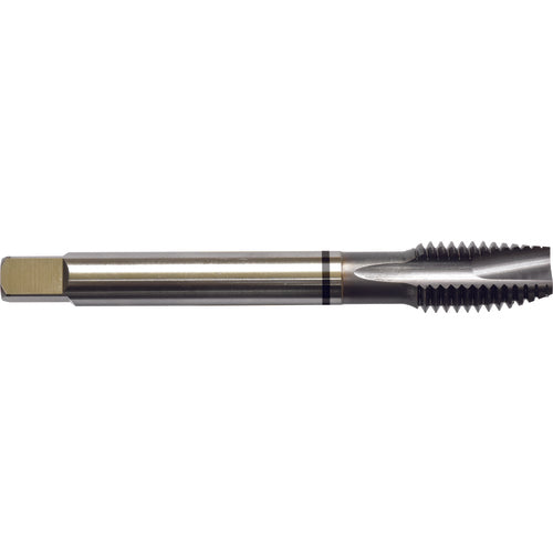 M4x0.7 D4 3 Flute Spiral Pointed Plug Black Ring Tap-TICN - Benchmark Tooling