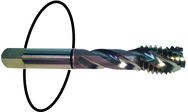 7/8-14 Dia. - H6 - 4 FL - Std Spiral Flute Tap - Black Ring - Benchmark Tooling