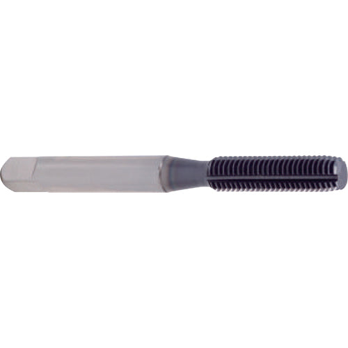 2 × 4 × 3 × 50 mm 2 Flute 0.2mm C/R Carbide End Mill-Plain Shank - Exact Industrial Supply