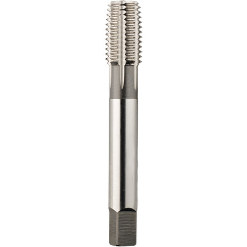2105 M12 × 1.25 D10 FORM PLUG BRT - Exact Industrial Supply
